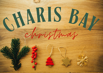 a butcher block background with text that says Charis Bay christmas and various handmade looking ornaments along the bottom