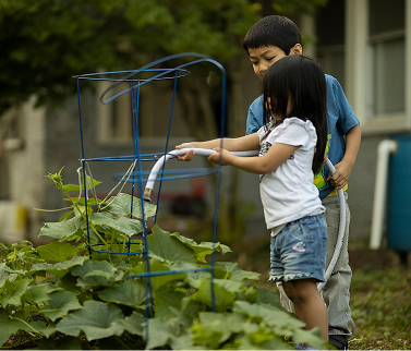 A boy and a girl watering a small backyard garden with a water hose.